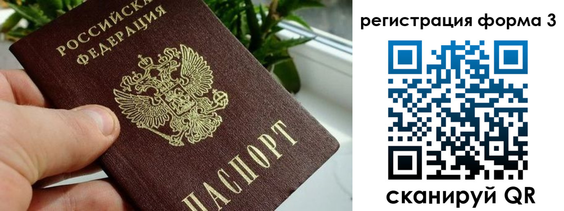 прописка штамп в Вязниках